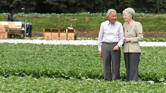 退出公务一线，离开皇居：平成天皇夫妇今后的生活