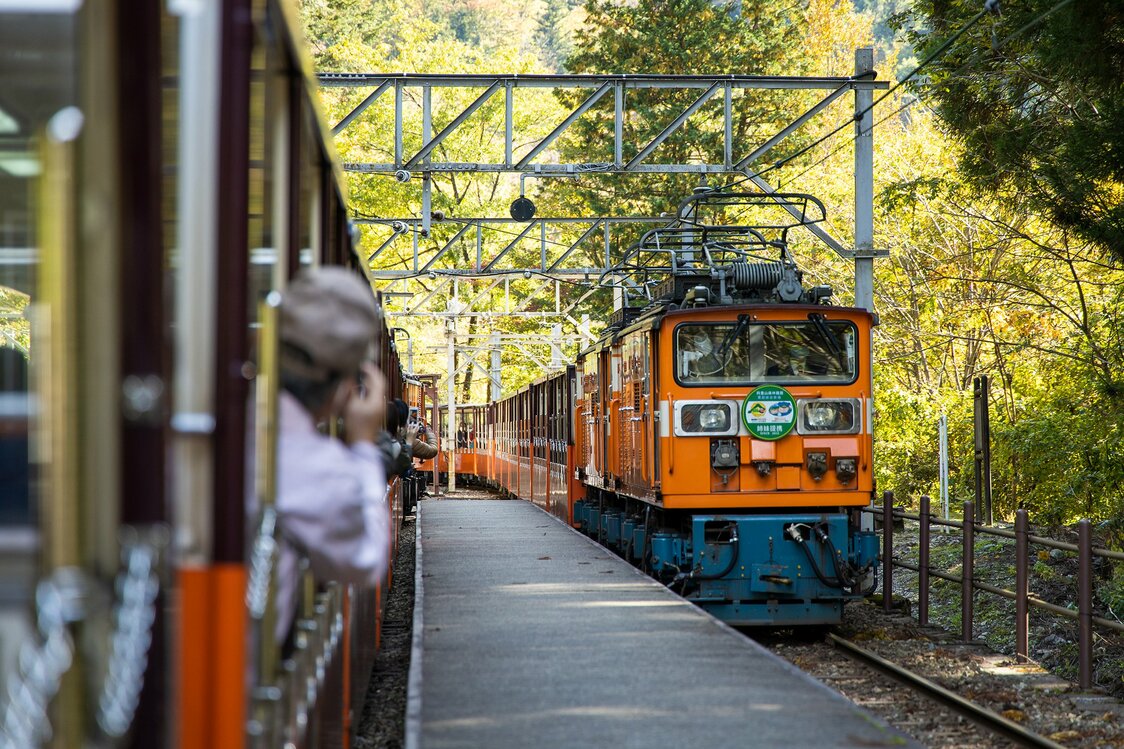 El tren en sí es muy atractivo, vale la pena fotografiarlo en el camino.