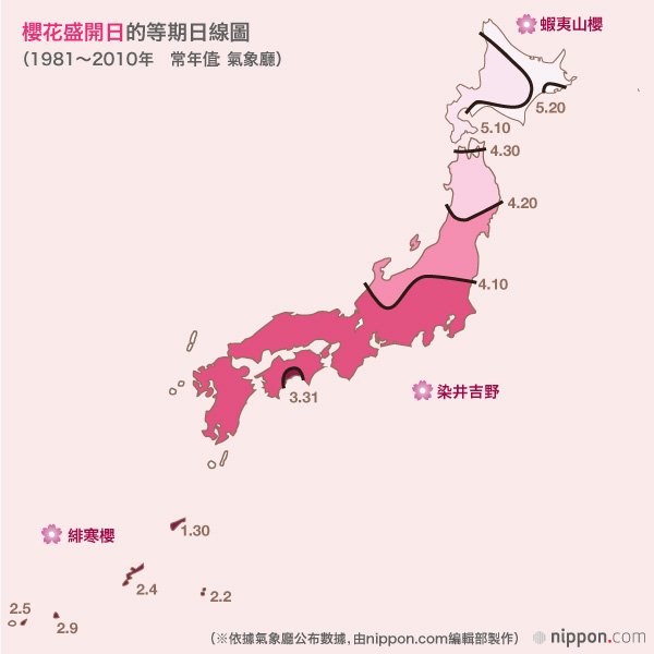 又到櫻花爛漫時