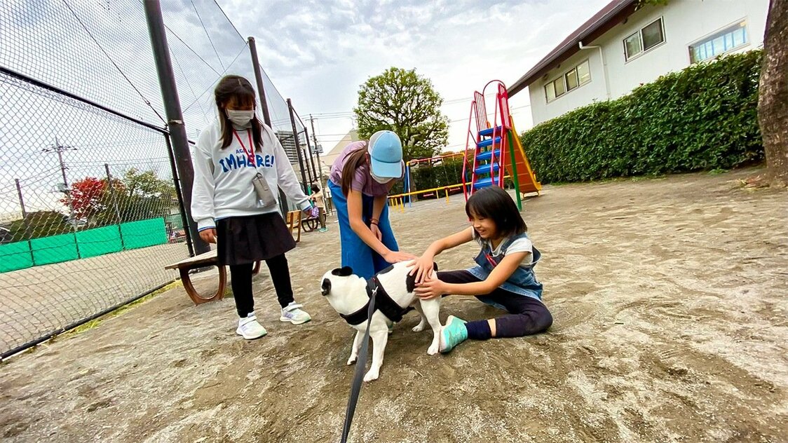 狗狗也需要自己的专用厕所