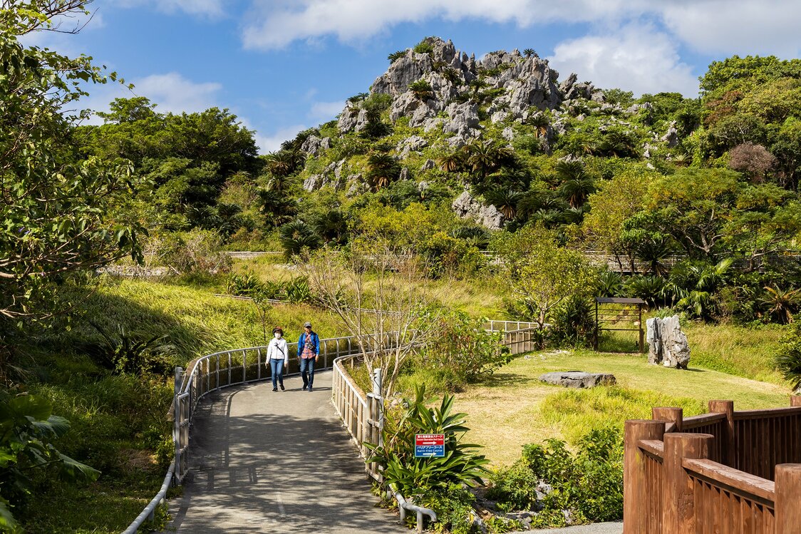 The final stretches of the Wonder of Rocks and the Churaumi Ocean View Trails converge at the wheelchair-accessible trail. All three end at Seikigoya.