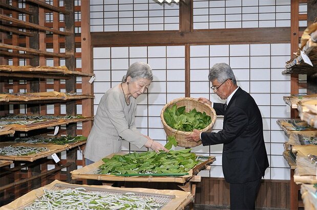 L’impératrice Michiko (aujourd'hui retirée) nourrissant les vers à soie du palais avec des feuilles de mûrier en mai 2013. La tradition remonte à plus d’un siècle.