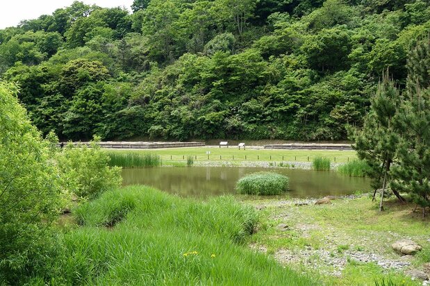 Une vue du parc historique du Yôfuku-ji. Les fondationsà droite marquent l'emplacement du Yakushi-dô (pavillon Yakushi). À gauche se trouvent les vestiges du Nikai-dô.