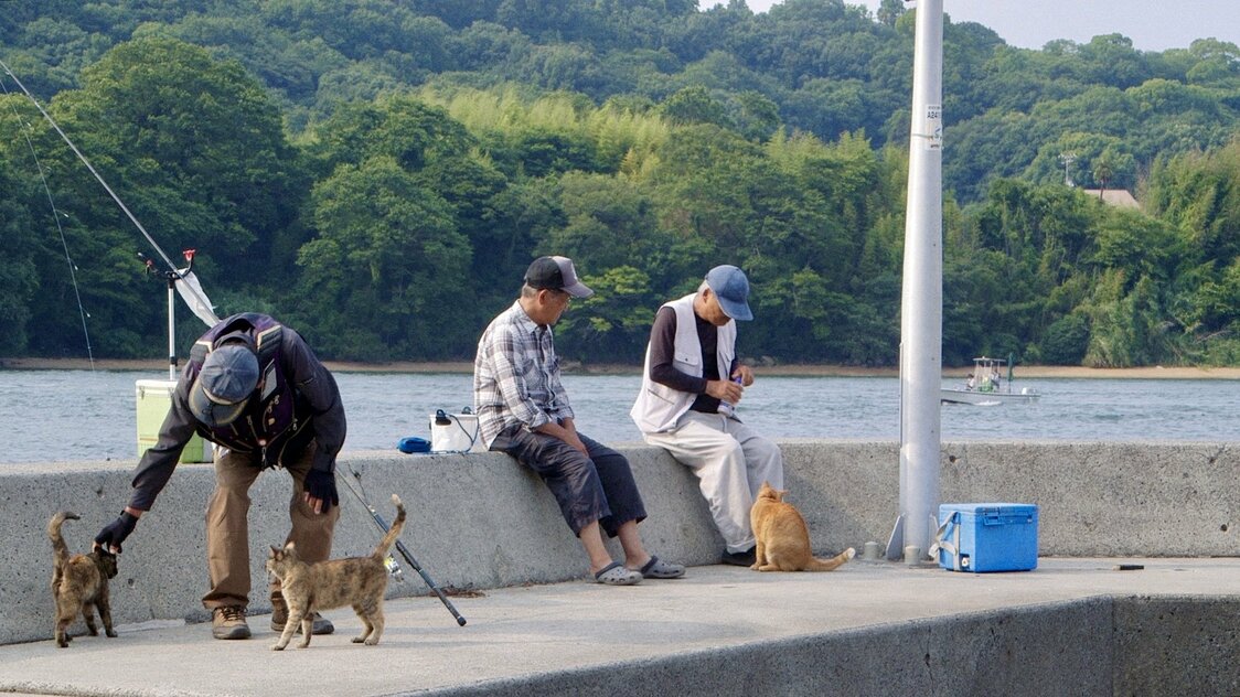釣り客は猫にモテモテ　© 2024 Laboratory X, Inc