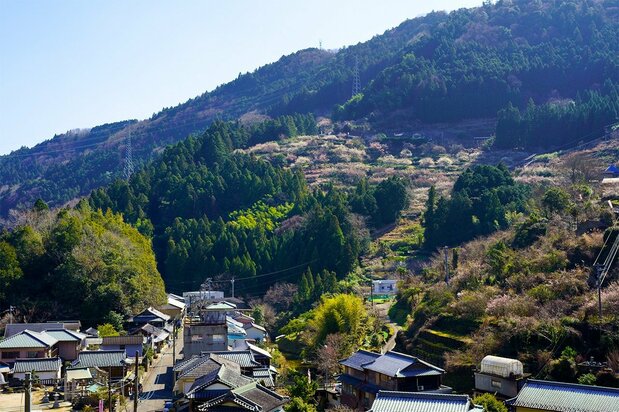 サテライトオフィスが集まる徳島県神山町(Kozo/Pixta)