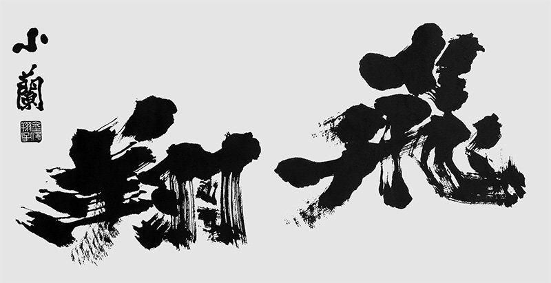 Vuelo, 2006. 70 x 135 cm.