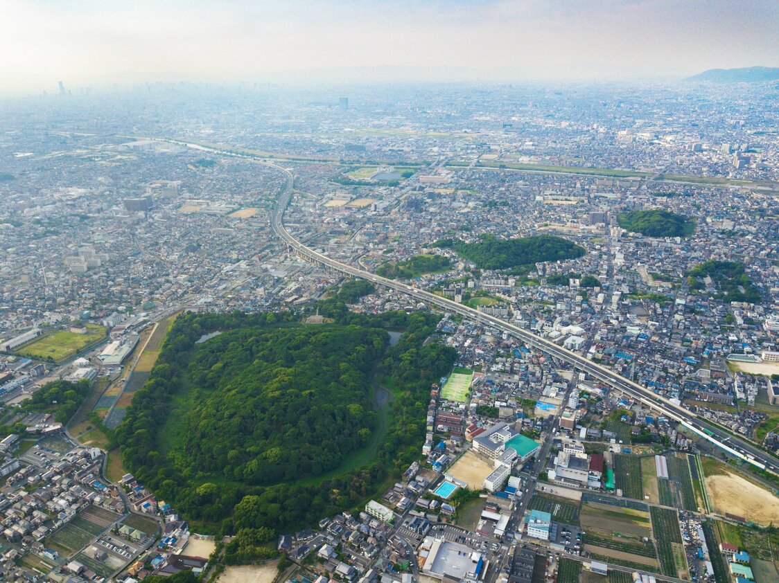 巨大な応神天皇陵古墳から、尻尾のように右上に続く古墳群。大き目な仲姫命陵古墳の先で途切れた辺りに土師ノ里駅がある