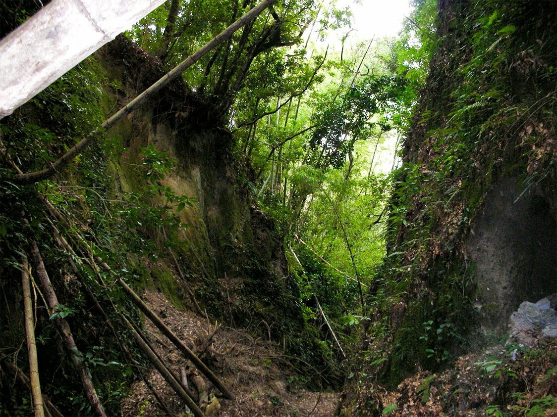 切岸（鹿児島県の志布志城跡）＝筆者提供
