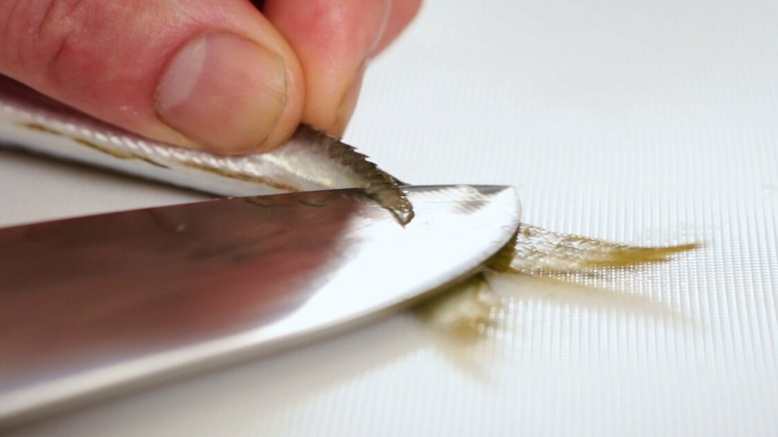 Japanese Seafood Culture: How to Fillet a Horse Mackerel