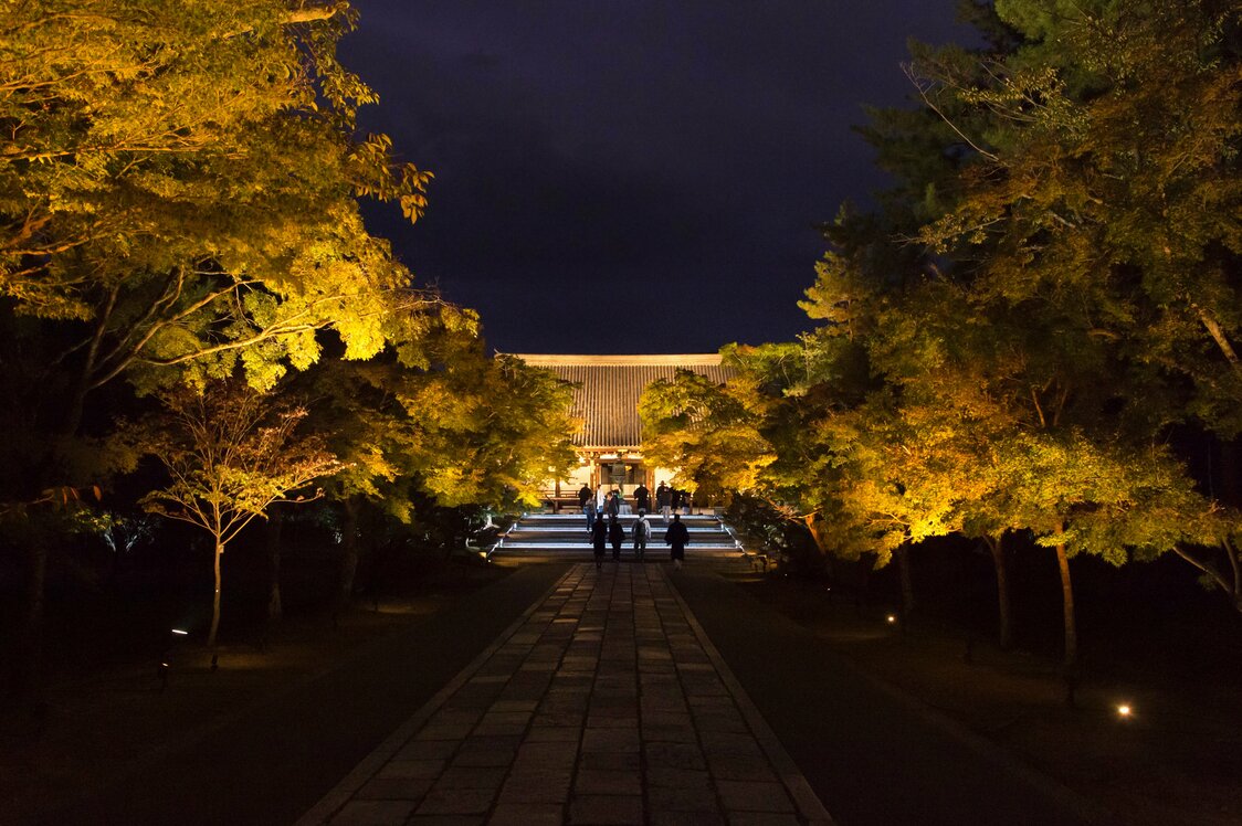 神秘的な夜の境内をプライベートツアー