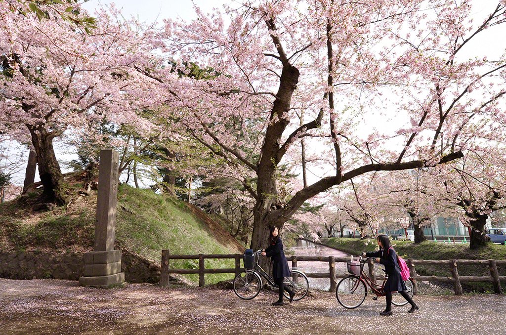 Parc de Hirosaki, Hirosaki, Préfecture d’Aomori