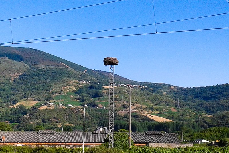 Paisaje de Petín, el pueblo donde Yoshimura pasa las vacaciones de verano. Encima de la torre metálica hay un nido de cigüeñas. Estos nidos son muy comunes en España.