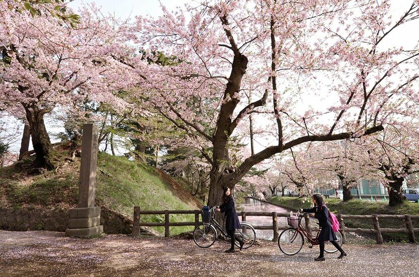 青森县弘前市 弘前公园