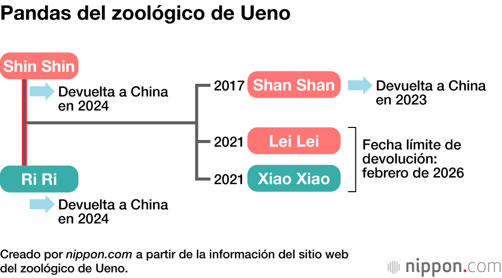 Pandas del zoológico de Ueno