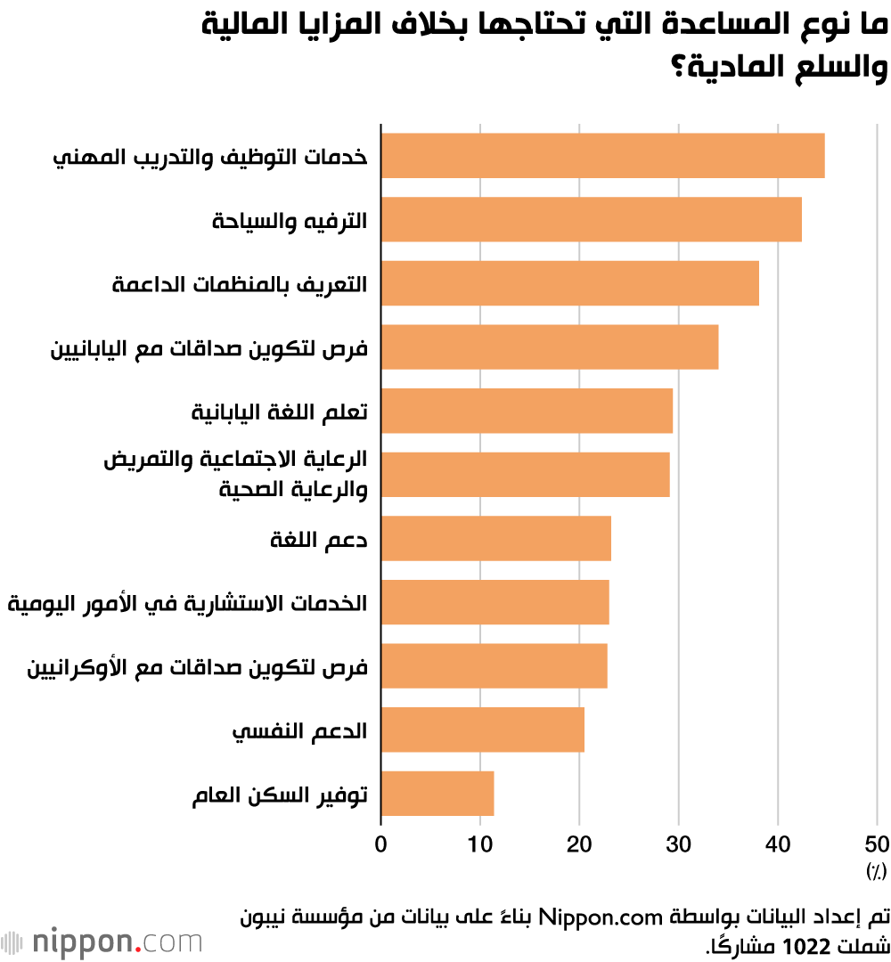 ما نوع المساعدة التي تحتاجها بخلاف المزايا المالية والسلع المادية؟