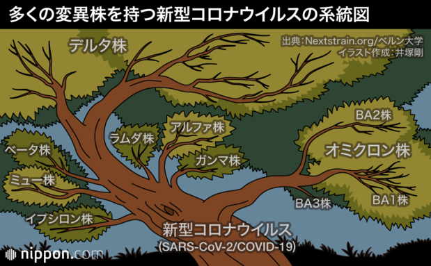 多くの変異株を持つ新型コロナウイルスの系統図