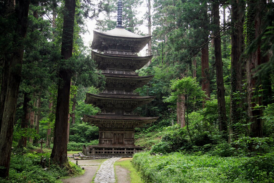 The five-storied pagoda stands quietly in the old-growth forest.