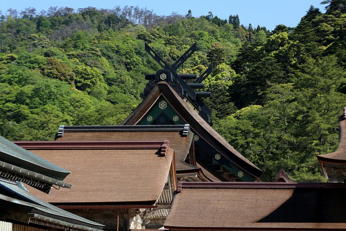 Les superbes épis de faîtage (chigi) du sanctuaire d’Izumo dressent leur élégante silhouette vers le ciel, dans un cadre de verdure aux couleurs printanières.
