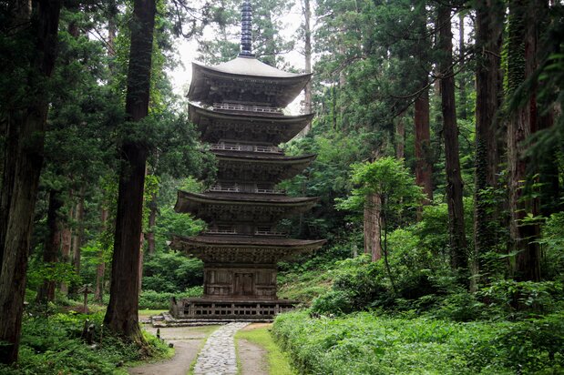 La pagode a cinq étages donne une impression de sérénité au milieu de cette ancienne forêt.