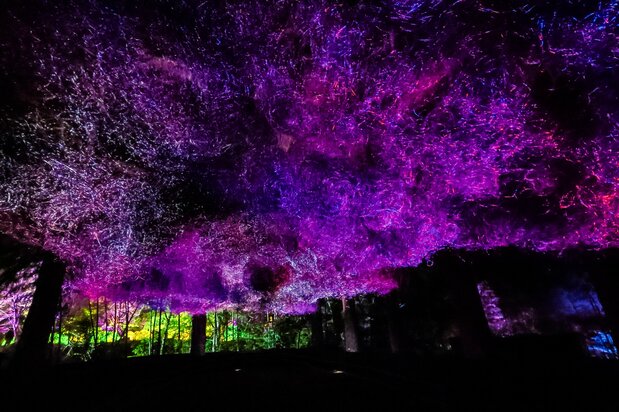 “Huellas estratificadas del valle”, donde una materia que alberga luz en las profundidades de la oscuridad cubre las cabezas de los visitantes. (© nippon.com)
