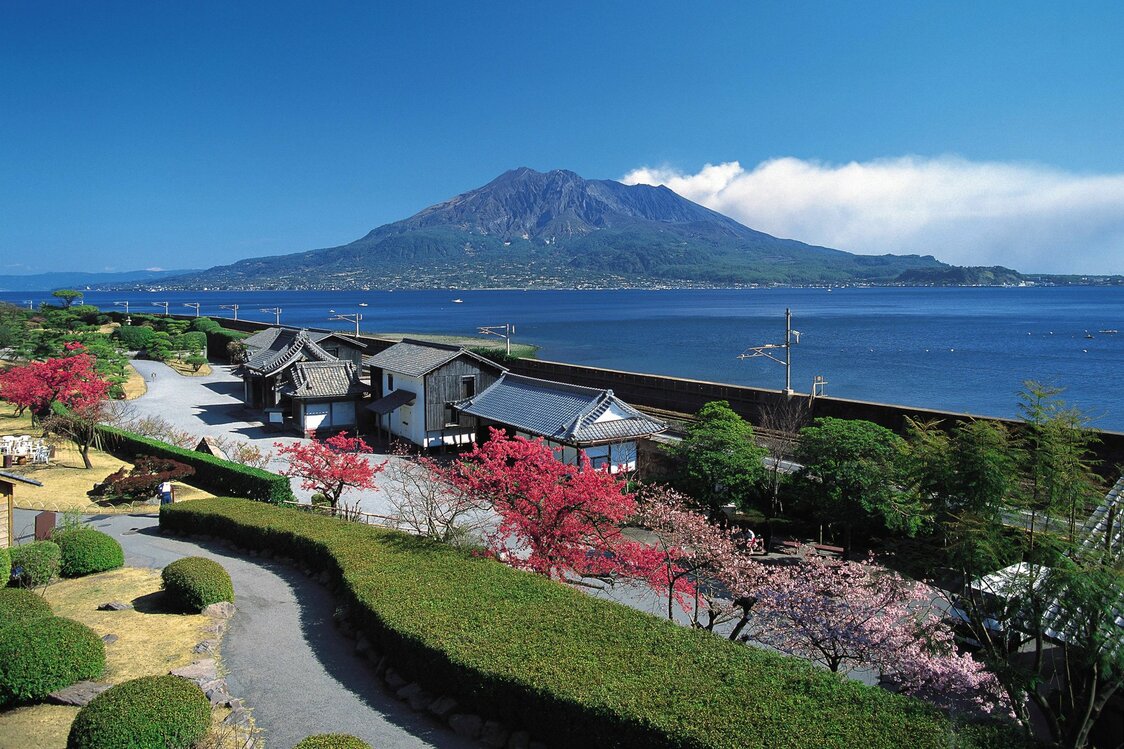 早春時節，從島津家別墅「仙巌園」眺望櫻島（K.P.V.B）