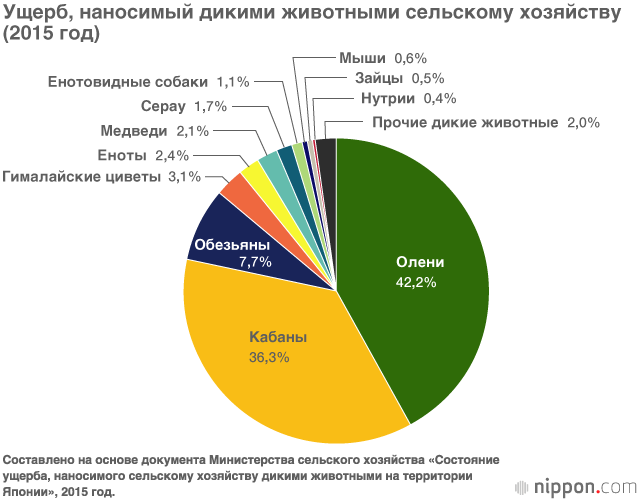 Бунт диких животных (часть первая)