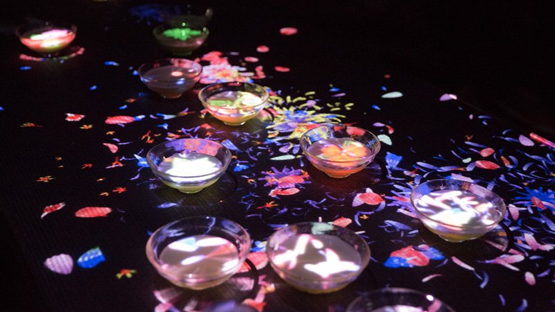 日本のお茶が世界をつなぐ—茶碗の宇宙に咲くデジタルの花