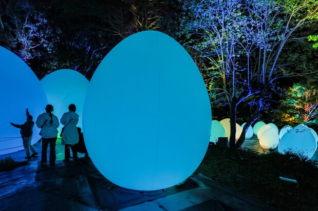 “Bosque de vida autónoma y resonante”, donde objetos con forma de huevo cambian de color cuando la gente los toca. (© nippon.com)