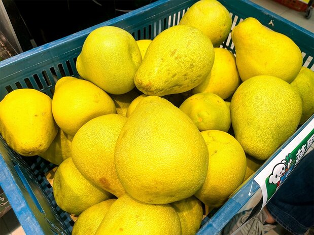 Pomelos are called youzi in Taiwan. They grow well in mildly alkaline soils and are weak against acidity. The Madou district of Tainan, Taiwan, is a famous producer. (© Katakura Yoshifumi)