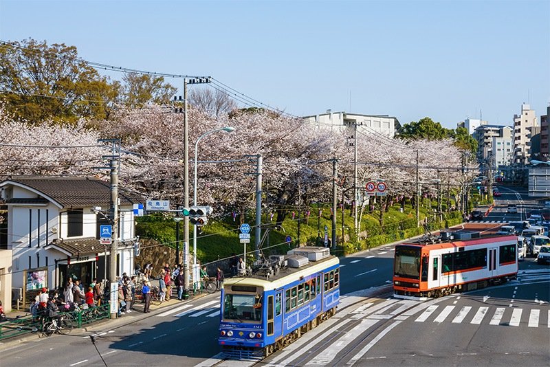 En este parque comenzó la costumbre de contemplar los cerezos en Tokio.