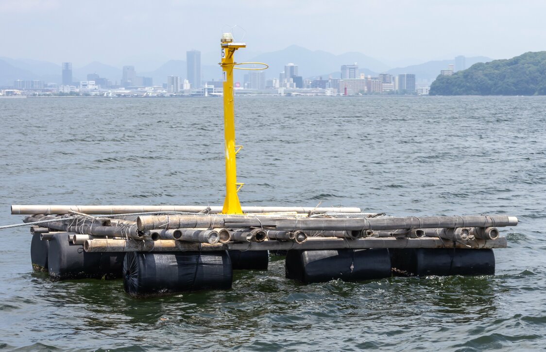 フロートが水面に浮いている灯浮標のイカダ。養殖イカダではカキの重さでフロートが沈み込み、水圧により収縮しやすくなる
