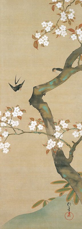 酒井抱一「十二か月花鳥図」（三月）