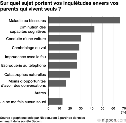 Sur quel sujet portent vos inquiétudes envers vos parents qui vivent seuls ?