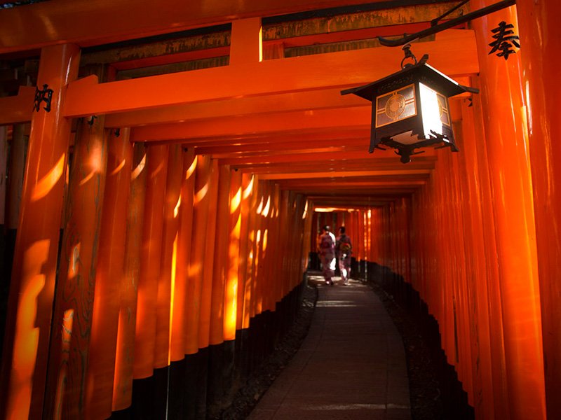 Los pórticos Senbon-dorii del santuario Fushimi Inari.