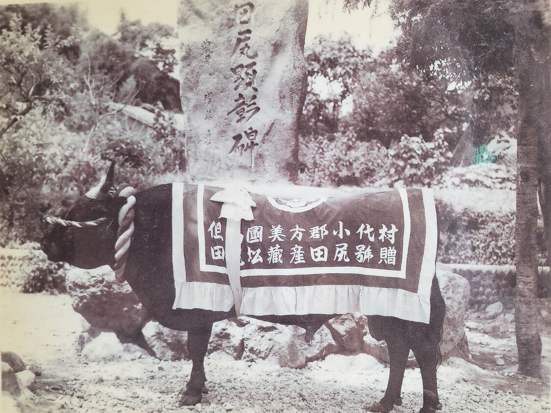 田尻号（香美町小代観光協会提供）