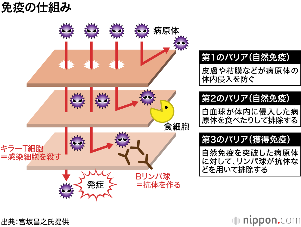 新型コロナ：第2波は「収束できる」、検査拡大し自分アラートを－宮坂昌之・阪大名誉教授