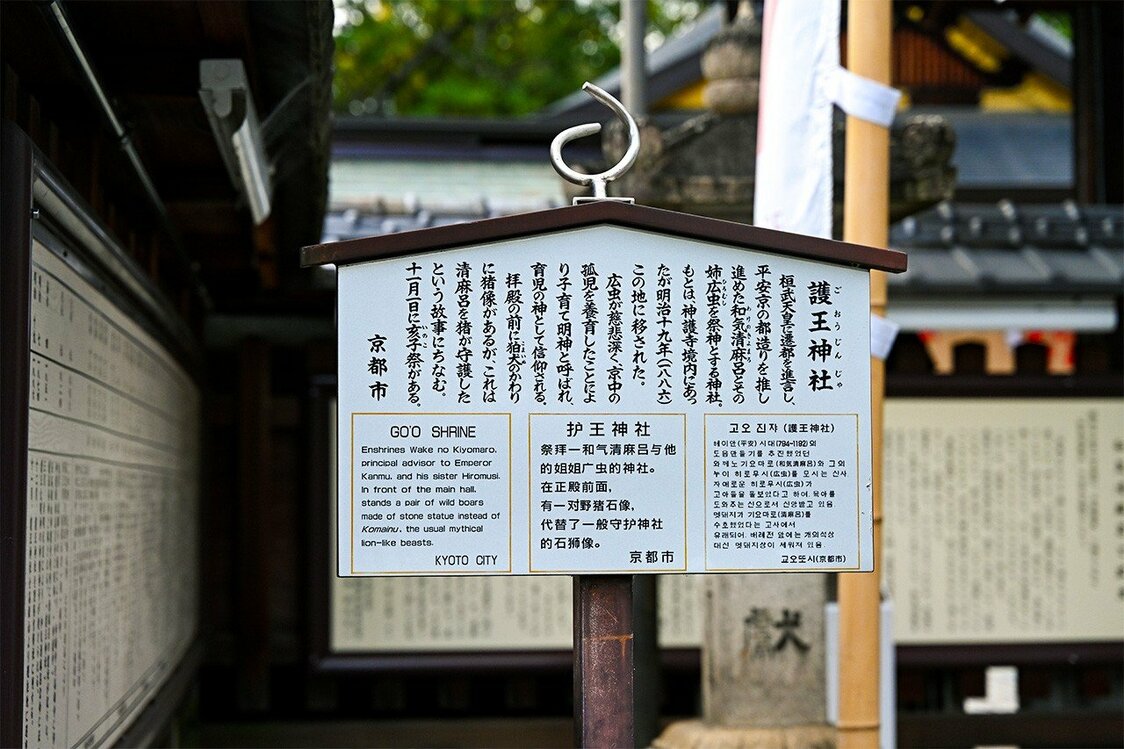 这也能求？——京都的“奇葩”神社