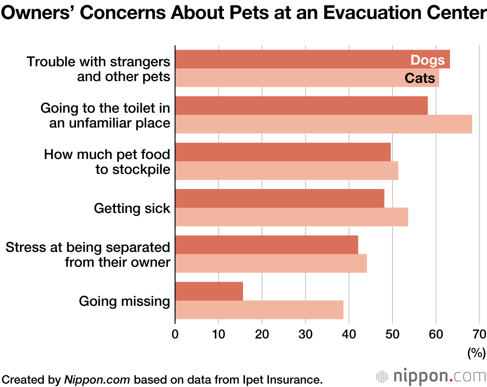 Disaster Preparedness: Planning with Pets