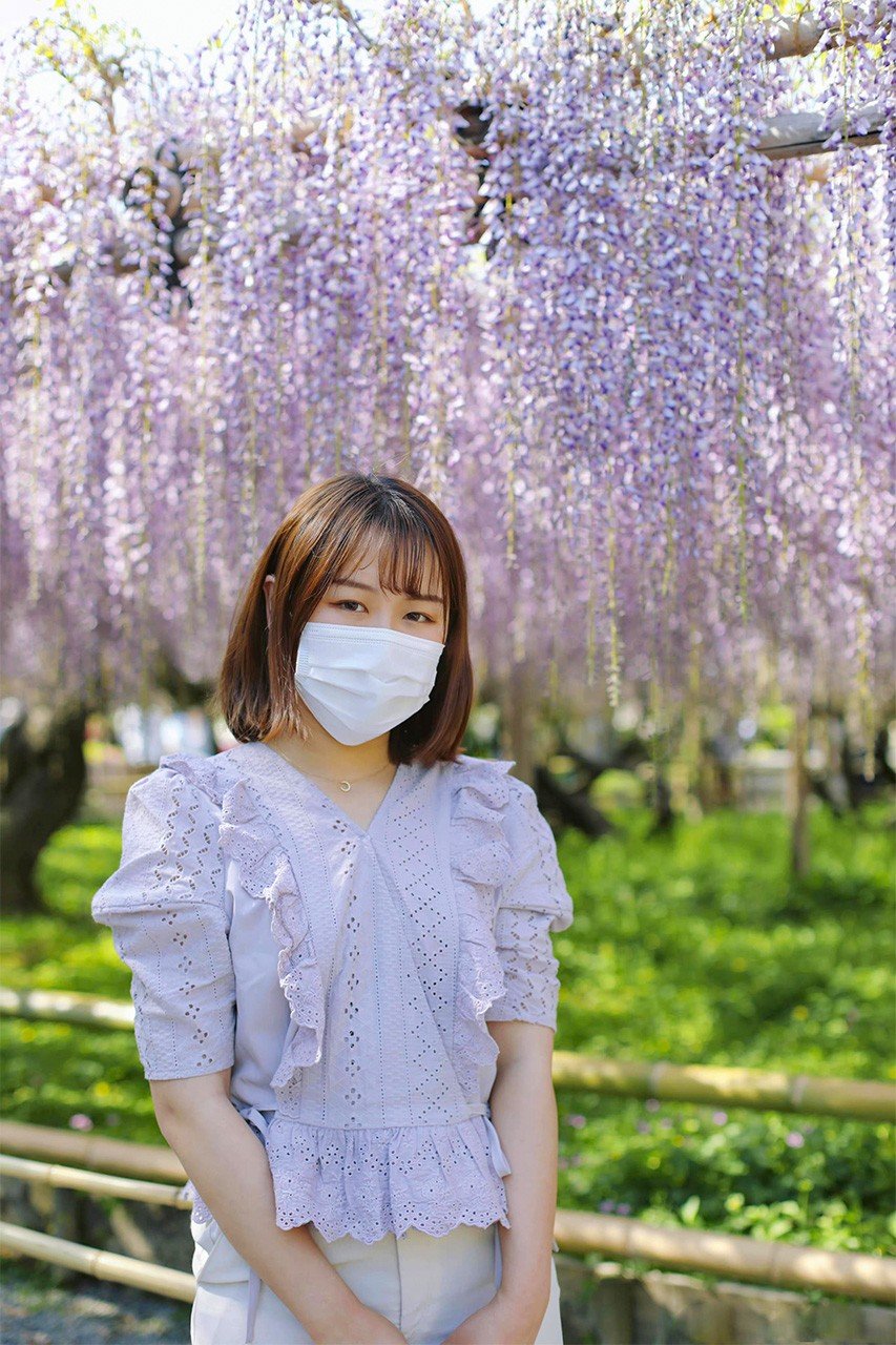 笔者于平等院紫藤花前留影