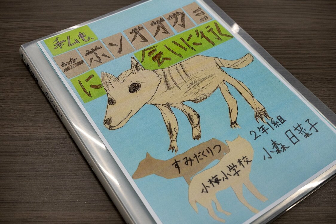 « Moi aussi, je vais à la rencontre du loup japonais », tel est le titre du rapport réalisé par Komori Hinako. (© Hayashi Michiko)