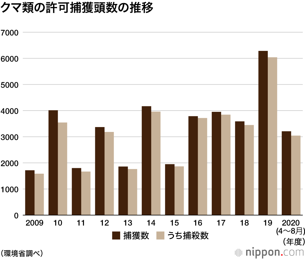 クマの出没情報が増加：2019年度の捕獲数は7割増の6285頭