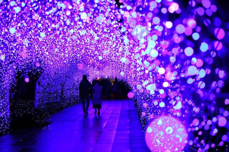 Expert Opinion: Five Must-See Light Displays in Japan