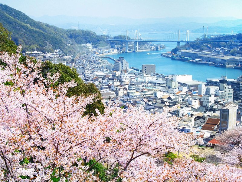 El estrecho de Onomichi con el Gran Puente de Shin-Onomichi al fondo, visto a través de los cerezos en flor del parque de Senkōji.