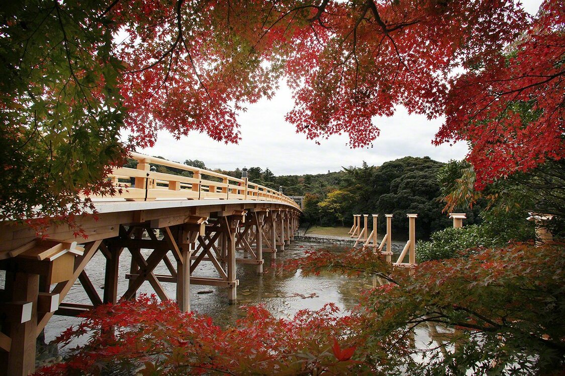 11月19日　横跨尘世与圣地的宇治桥和枫叶