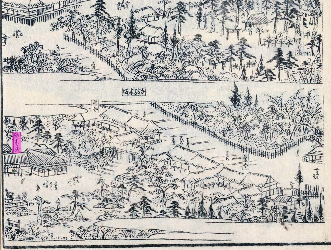 『江戸名所図会』5巻「根津権現旧地」（1836年刊、国会図書館蔵）の下半分を切り抜いた。今の場所に遷座する前、根津神社は団子坂上の南側にあった。ピンク色の部分には「植木屋」と書かれている
