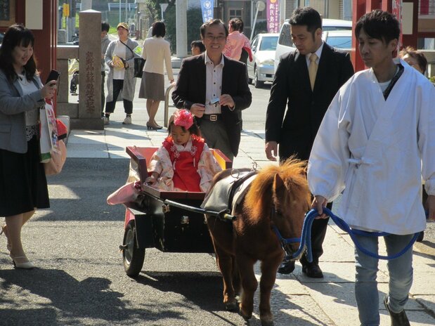 In the past, Kirara also pulled the carriage, but she has now passed the job on to the younger Choco and Vanilla. (Courtesy Kumano Shrine)