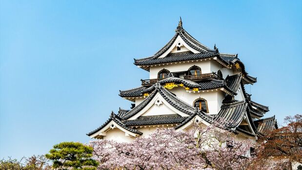 Le château de Hikone (Pixta)