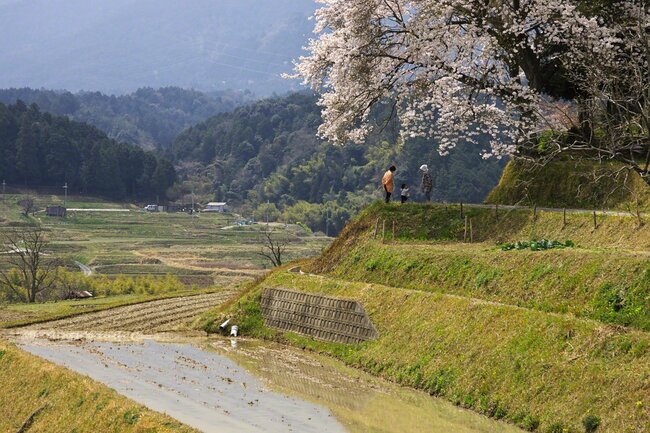 滋賀縣大津市　4月