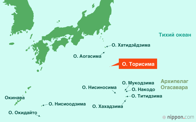 Уцелевшие альбатросы (часть первая)
