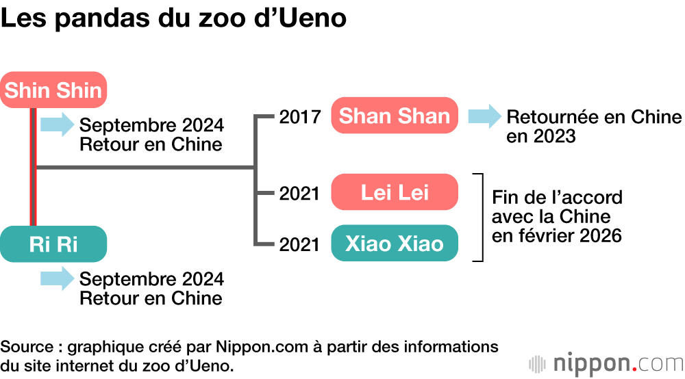 Les pandas du zoo d’Ueno